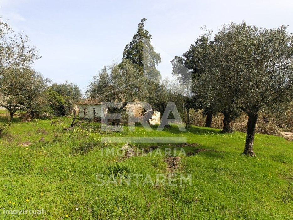 Terreno com cerca de 1 Hectare