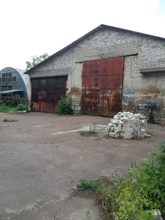 Продам виробниче приміщення вул.Гребінки (р-н Н.Подусівка), Чернігів