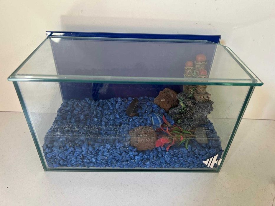 Tanque de Vidro (25 x 12 x 16 cm)