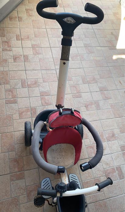 Triciclo evolutivo