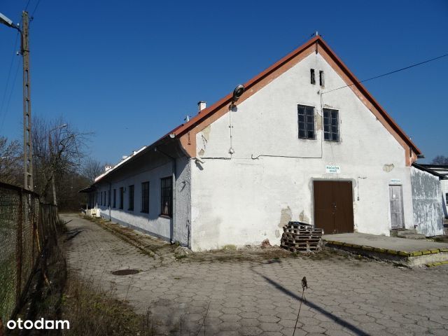 Nieruchomość 4,23 Ha W Bartoszycach Na Sprzedaż