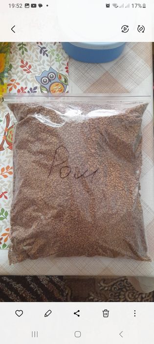 Кофе кава касик 100грам растворимое розчинне сублімована оптом