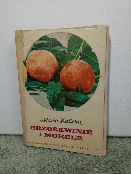 Brzoskwinie i morele. Maria Kalicka