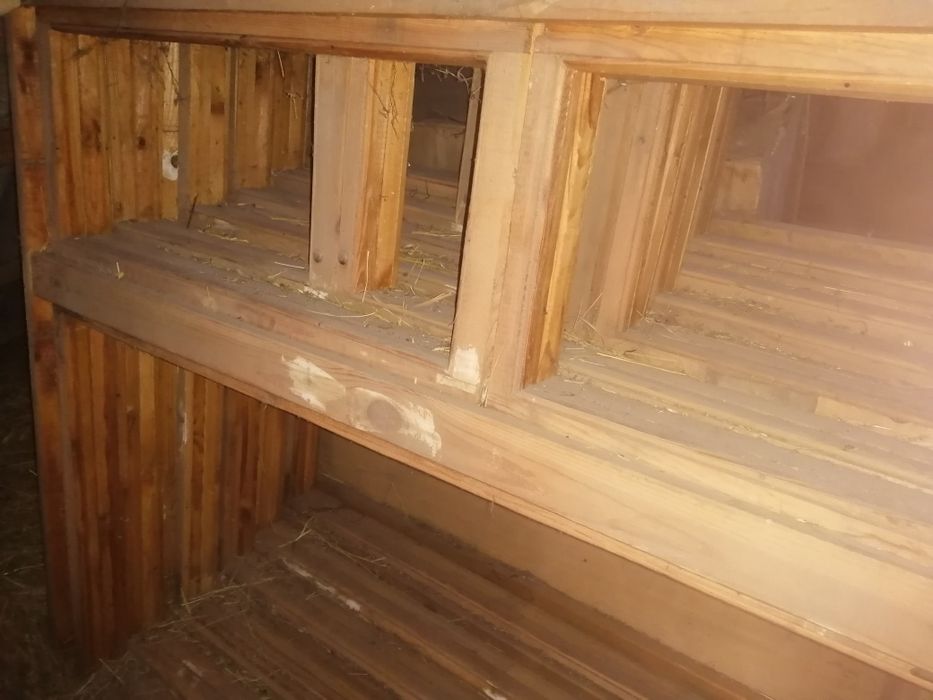 Вікна дерев'яні, нові. 800грн 00грн
