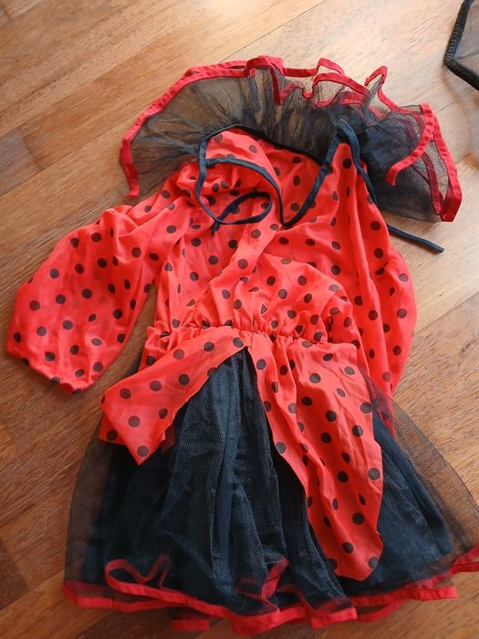 Strój biedronki dla dziecka