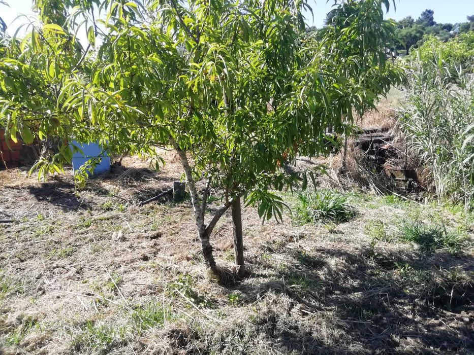 Terreno Rústico, Portugal