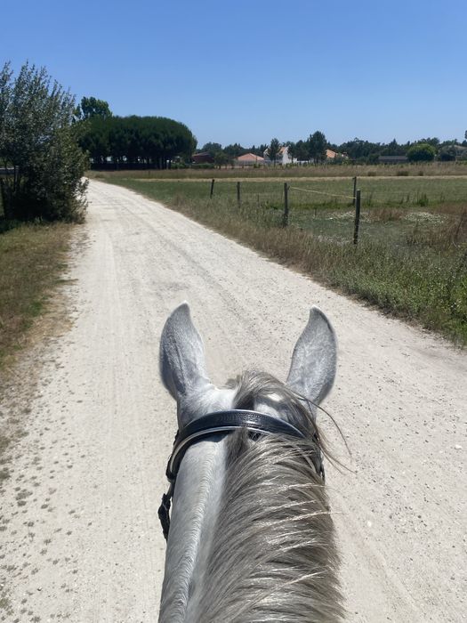 Batismos e passeios a cavalo