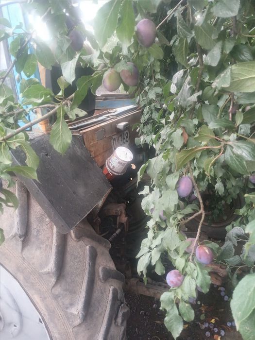 Продам МТЗ 80 робочий стан!