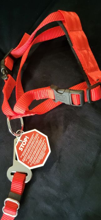 Smyczki dla piesków , małych.