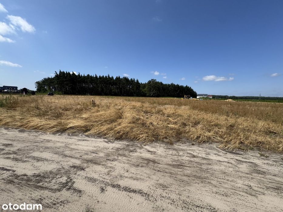 Działki budowlane VIP pod lasem - różne powierzchnie, dużo możliwości