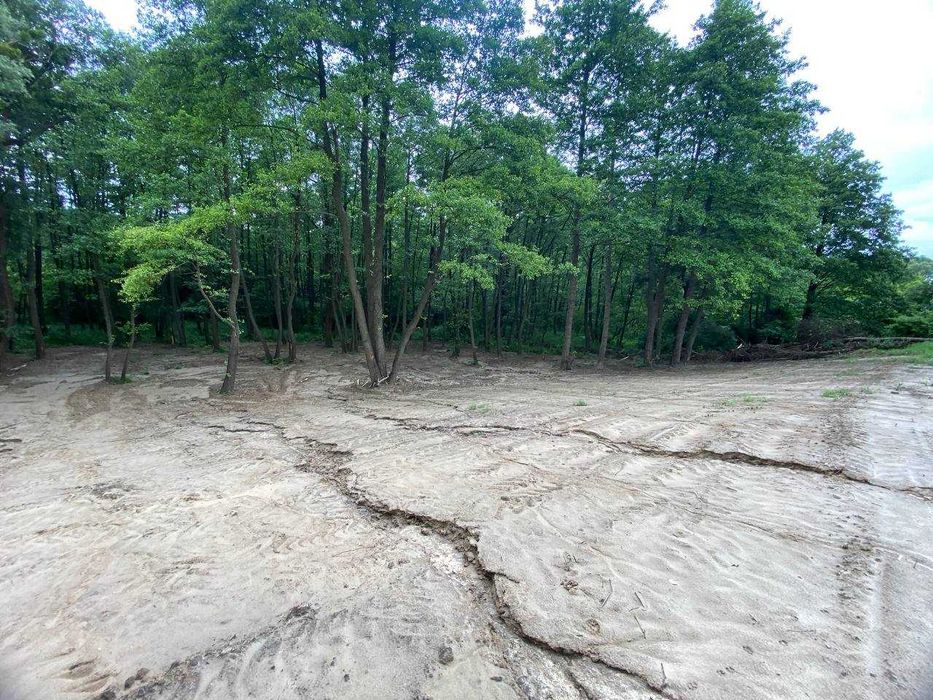 Продаж земельної ділянки в живописному місці в с. Рославичі! 24 сотки