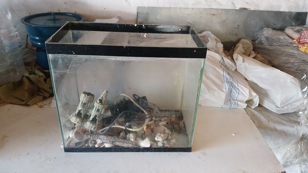 Акваріум для риб