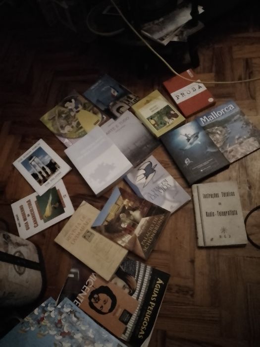 Saldos de verão Saramago e muitos outros Desde 2E.