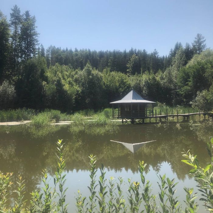 Будинок, котедж, база відпочинку, стави, озера, рибальство, Карпати