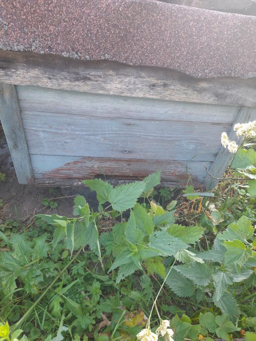 Продам рамки на вулик дадан