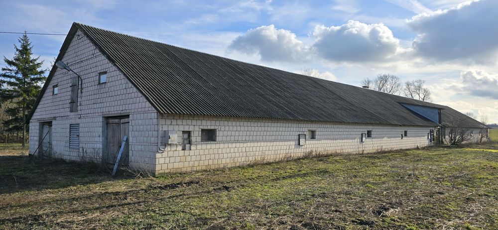 Budynek gospodarczy(kurnik)
