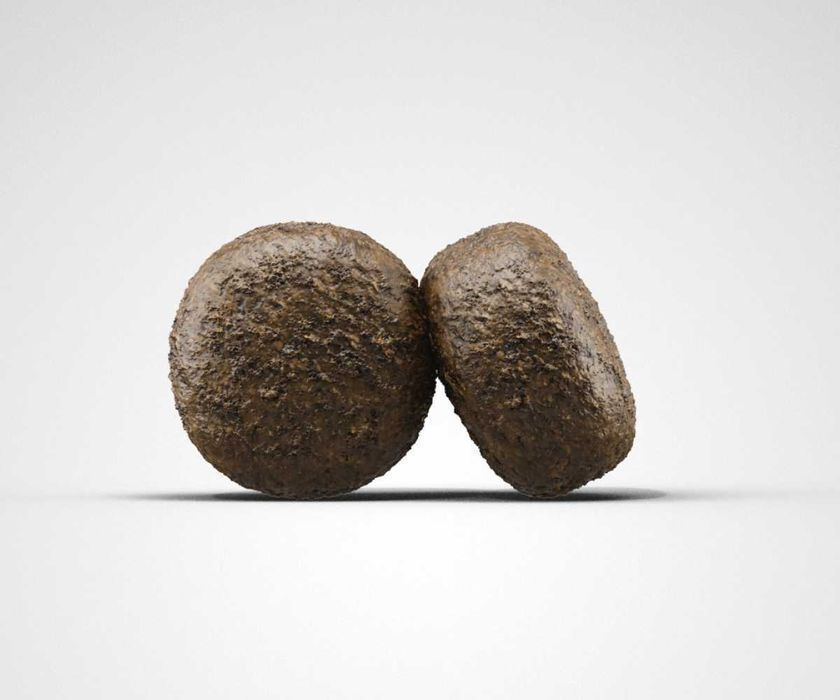 JOSERA Lamb Rice (Lamm & Reis) 12,5кг Корм для собак. Ягня та Рис