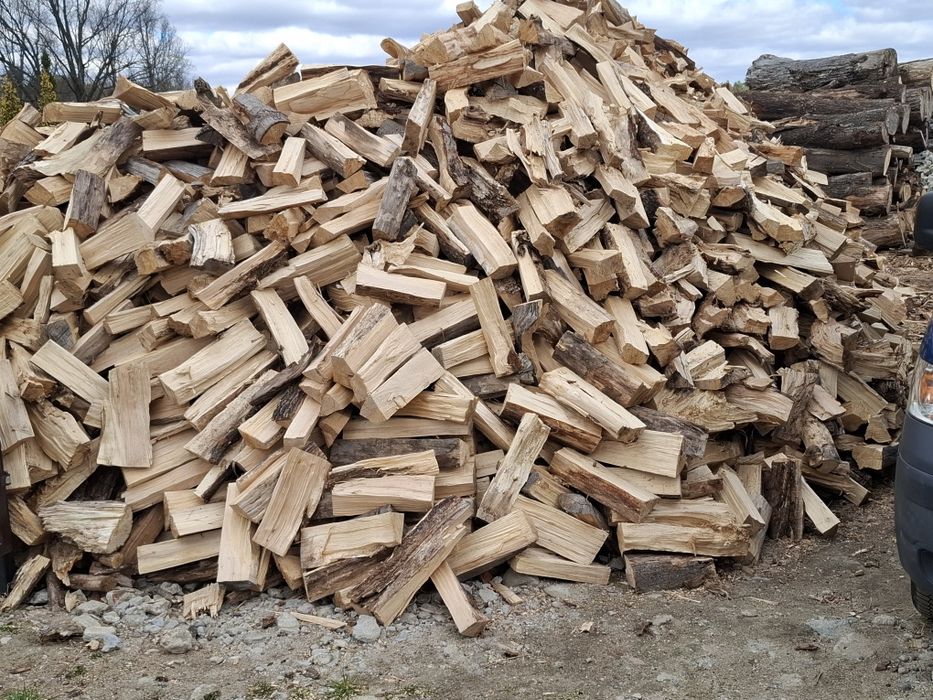 Sprzedam drzewo liściaste sezonowane