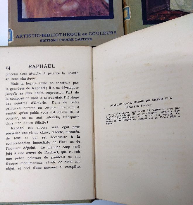 Livros de arte 8,  Raphael, Velázquez, Murillo.  Peintres Illustres