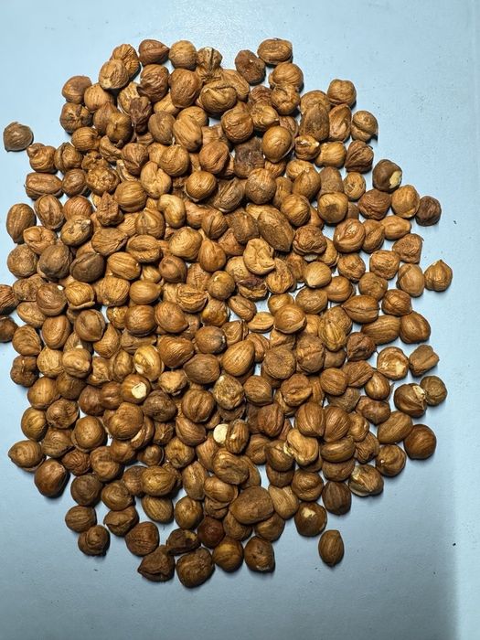 Продам фундук чищений