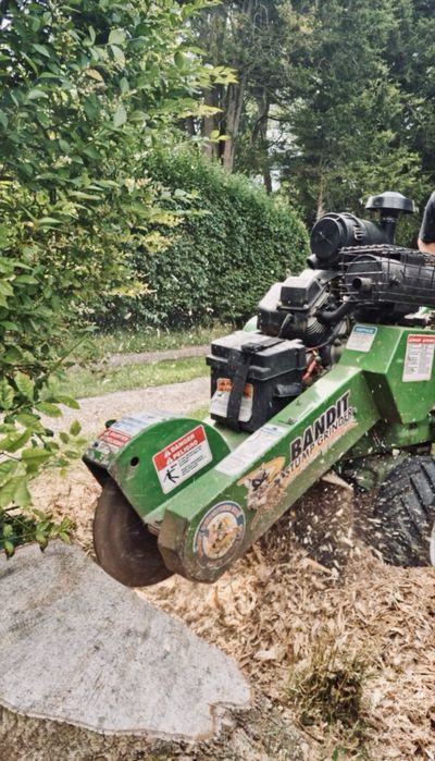 Frezowanie Pni Mulczer koszenie frezarka czyszczenie dzialek!