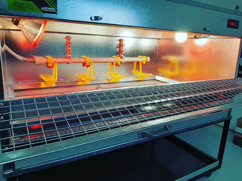 Брудер яслі клітка для пташенят обігріву бройлерів