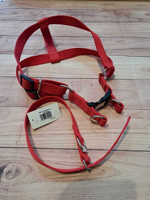 Obroża i szelki czerwone średni pies
