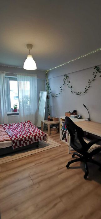 Komfortowy pokój 11m²/13m² na poznańskim Łazarzu