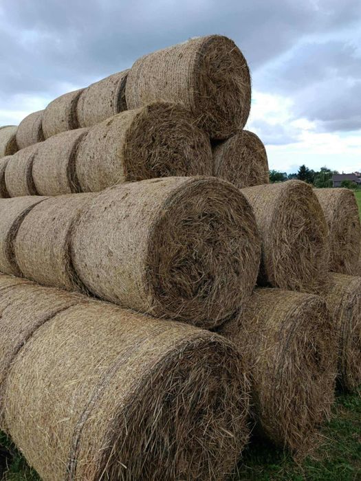 Sprzedam siano i słomę