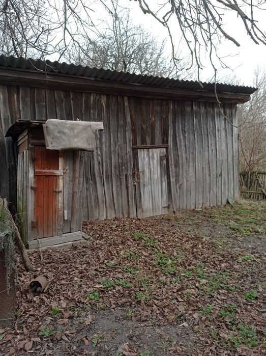 Помешкання в центрі селища Олишівка.