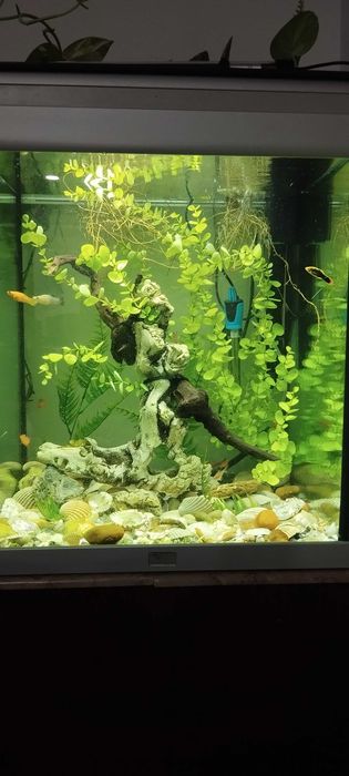 Aquario Completo para Natal!!!