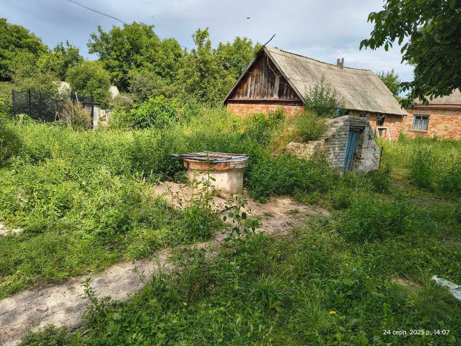 2 будинки в Хутір-Хмільні