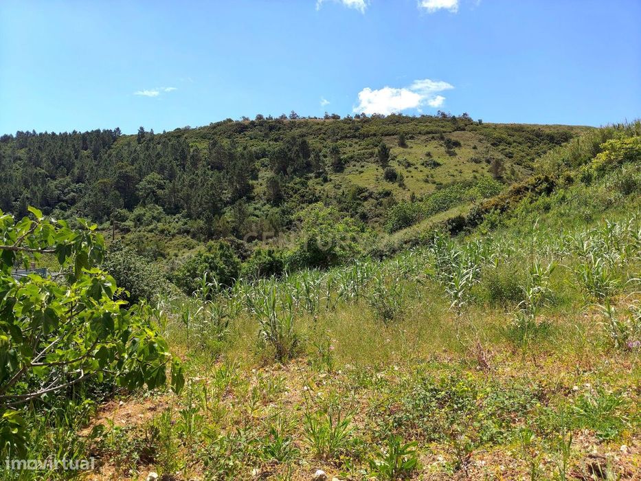 Terreno Rústico com Árvores de Fruto - Calhandriz, Vila Franca de Xira