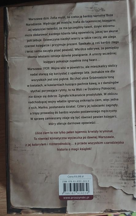 Katarzyna Puzyńska "Ulice Ciem"