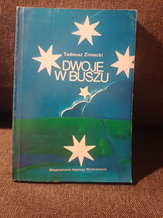 Tadeusz Zimecki Dwoje w buszu