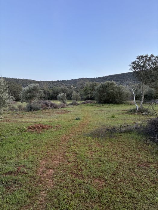 Terreno Rústico Goldra de Cima, Santa Bárbara de Nexe