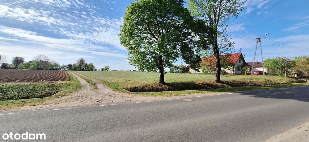 Działka budowlana 1500 m² - Widok 5