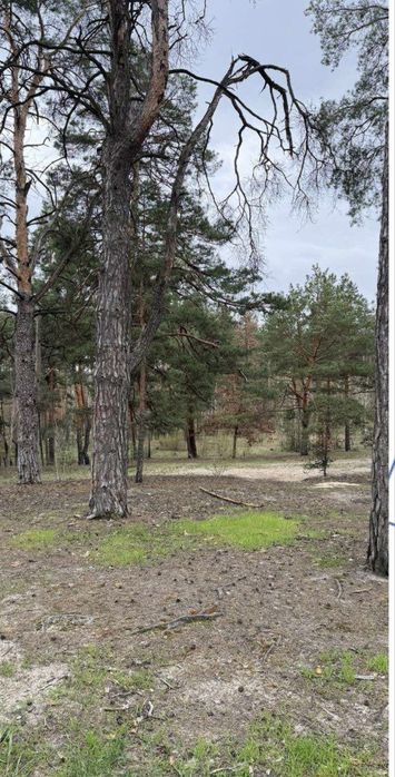Продам ділянку під будівництво на 10-ій лінії