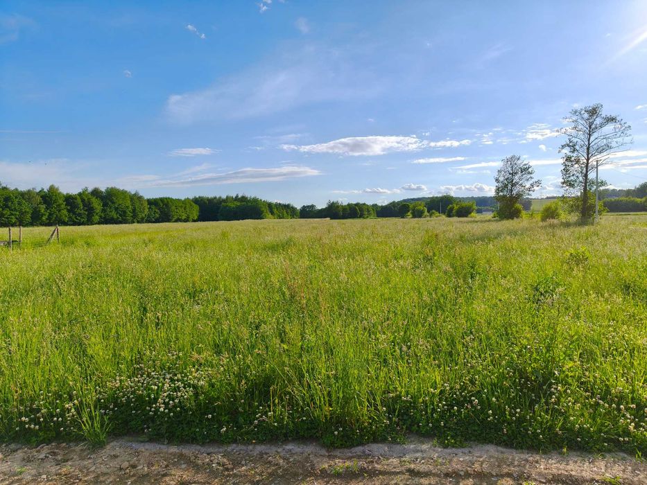 Działka budowlana 8,6 ara Wojaszówka + Warunki Zabudowy na czas nieokreślony - Widok 2