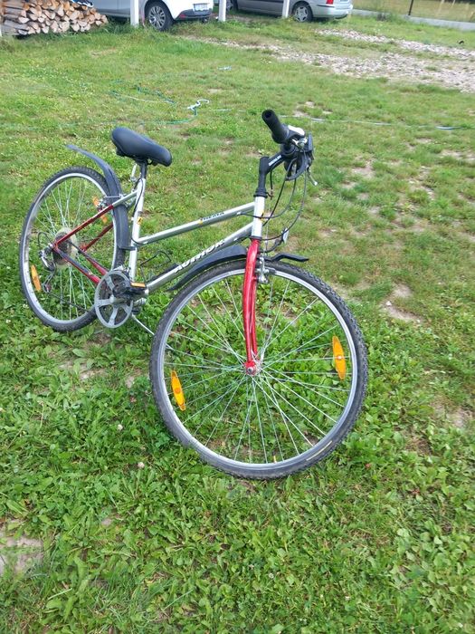 Author Therma rower damka