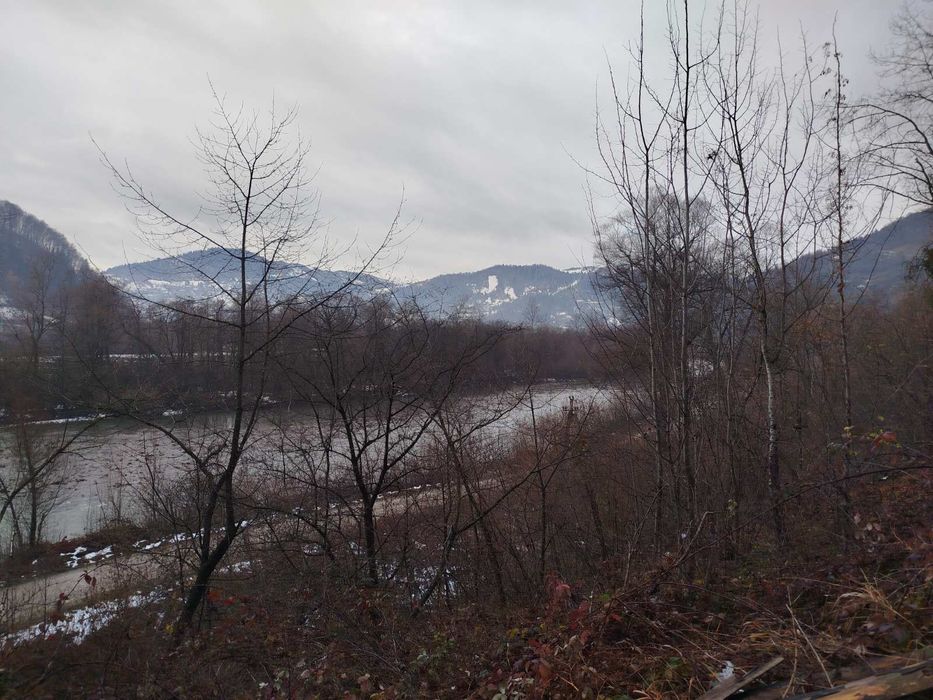 Будинок в Карпатах