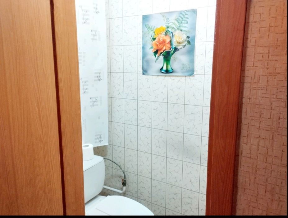 1 кімнатна  Троещина
