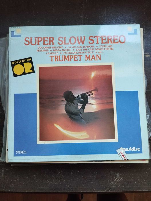 Discos Vinil (diversos)