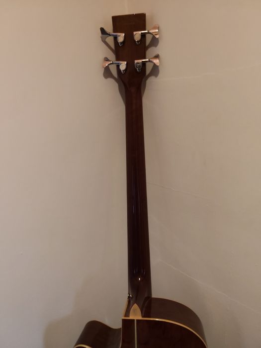 Gitara basowa elektroakustyczna. Tangelwood