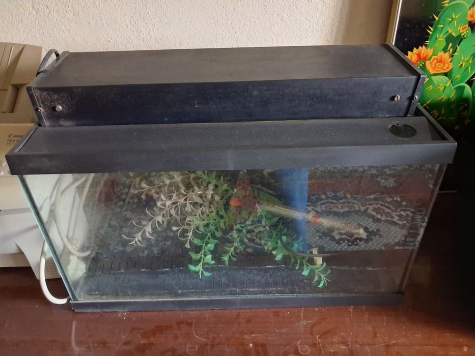 Vendo aquario conforme foto