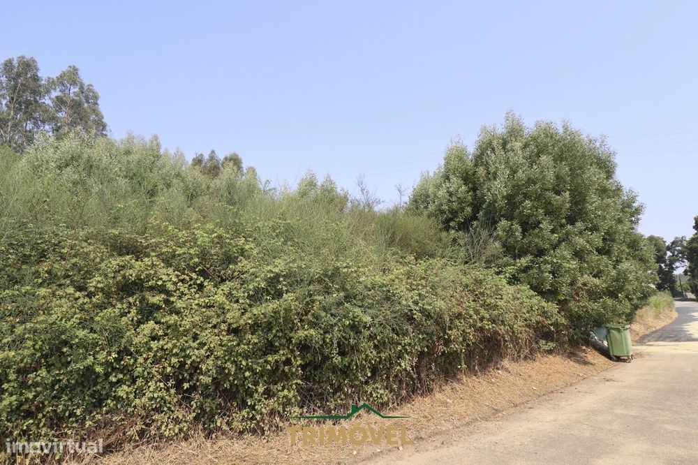 Terreno Para Construção  Venda em Vila de Cucujães,Oliveira de Azeméis