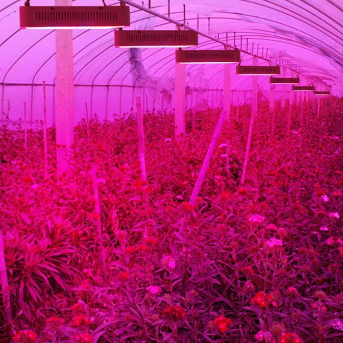 LAMPA Panel do Wzrostu Uprawy Roślin 1600W