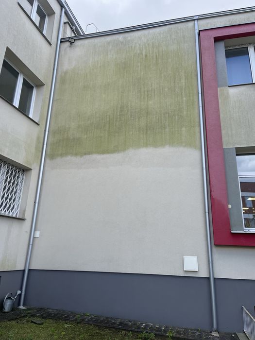 Profesjonalne Czyszczenie, Malowanie elewacji / dachów / kostki