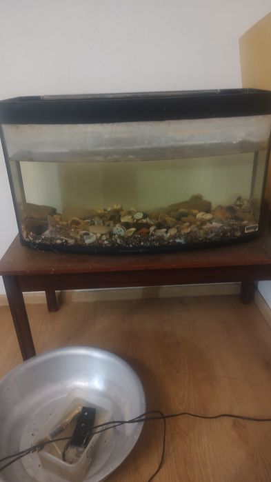 Акваріум на 100 л