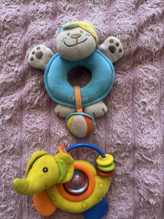 Брязкальця, гризун